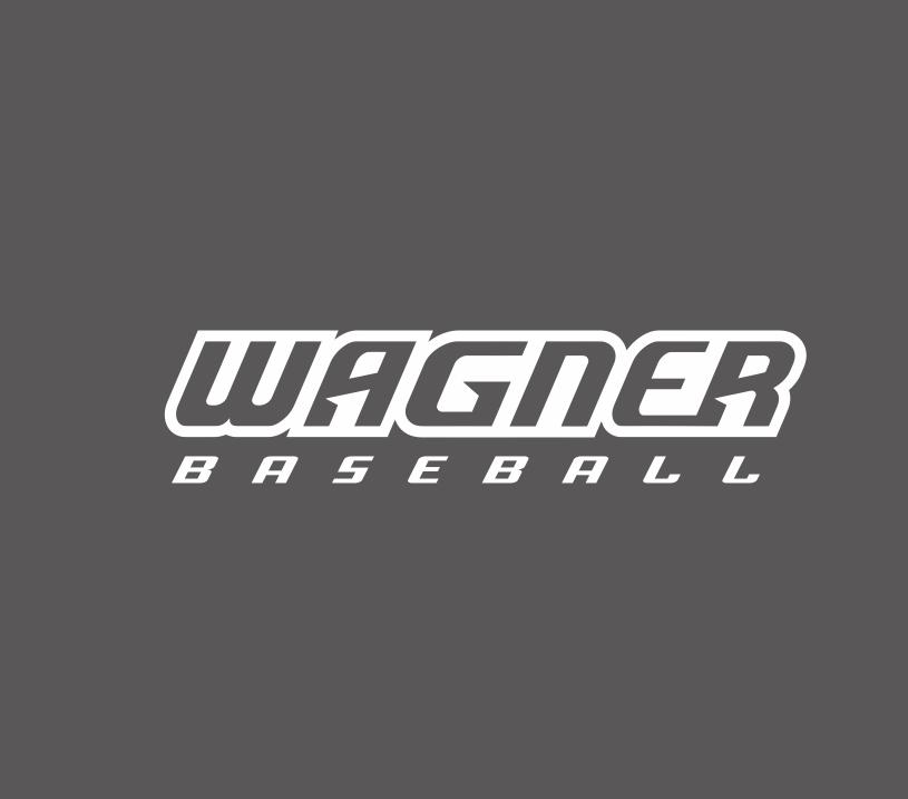 White Wagner Seahawks Baseball Logo diy iron on heat transfer